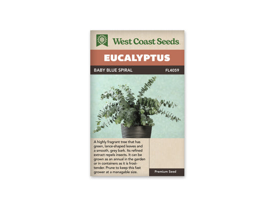 Eucalyptus Baby Blue Spiral WCS Seeds