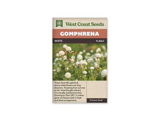 Gomphrena White WCS Seeds