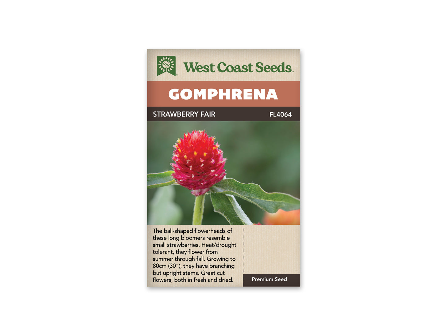 Gomphrena Strawberry Fair WCS Seeds