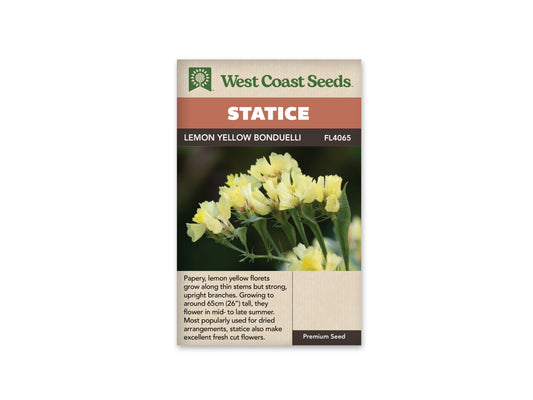 Statice Lemon Yellow Bonduelli WCS Seeds