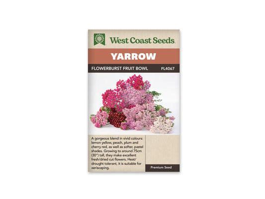 Yarrow Flowerburst Fruit Bowl WCS Seeds