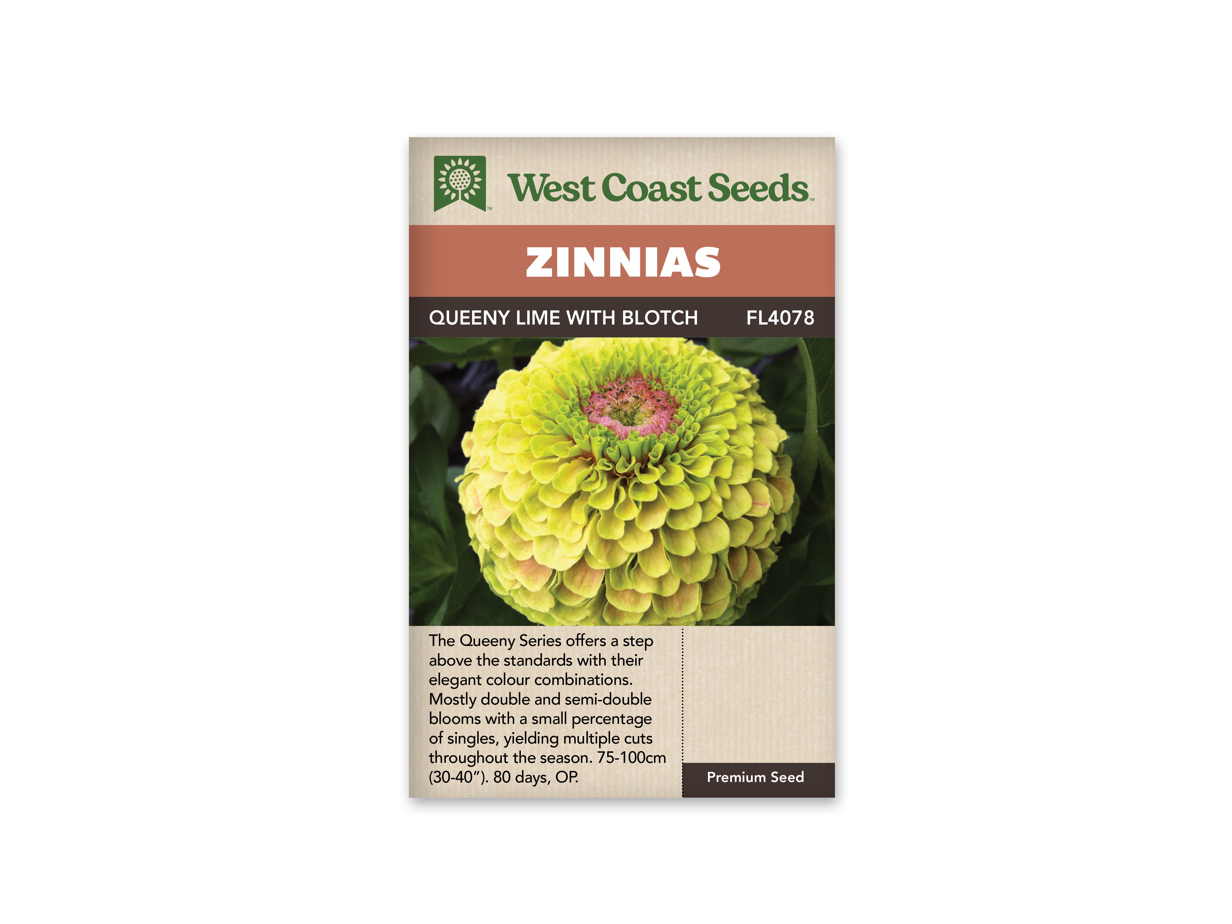 Zinnias Queeny Lime with Blotch WCS Seeds – Garden Girl