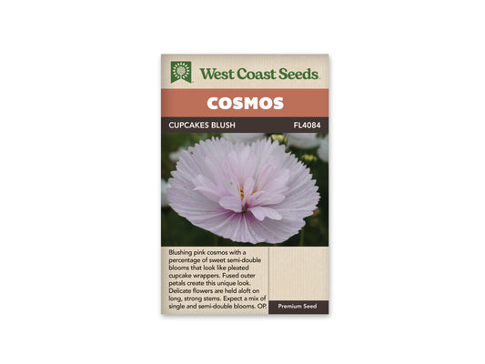 Cosmos Cupcake Blush WCS Seeds