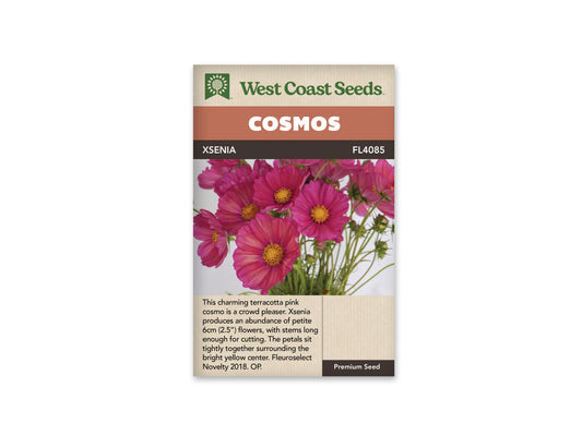 Cosmos Xsenia WCS Seeds