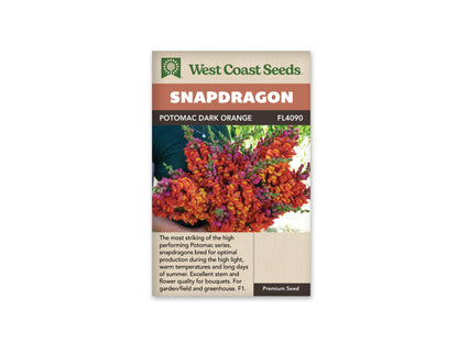 Snapdragon Potomac Dark Orange WCS Seeds