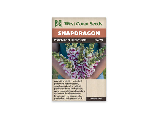 Snapdragon Potomac Plumblossom WCS Seeds