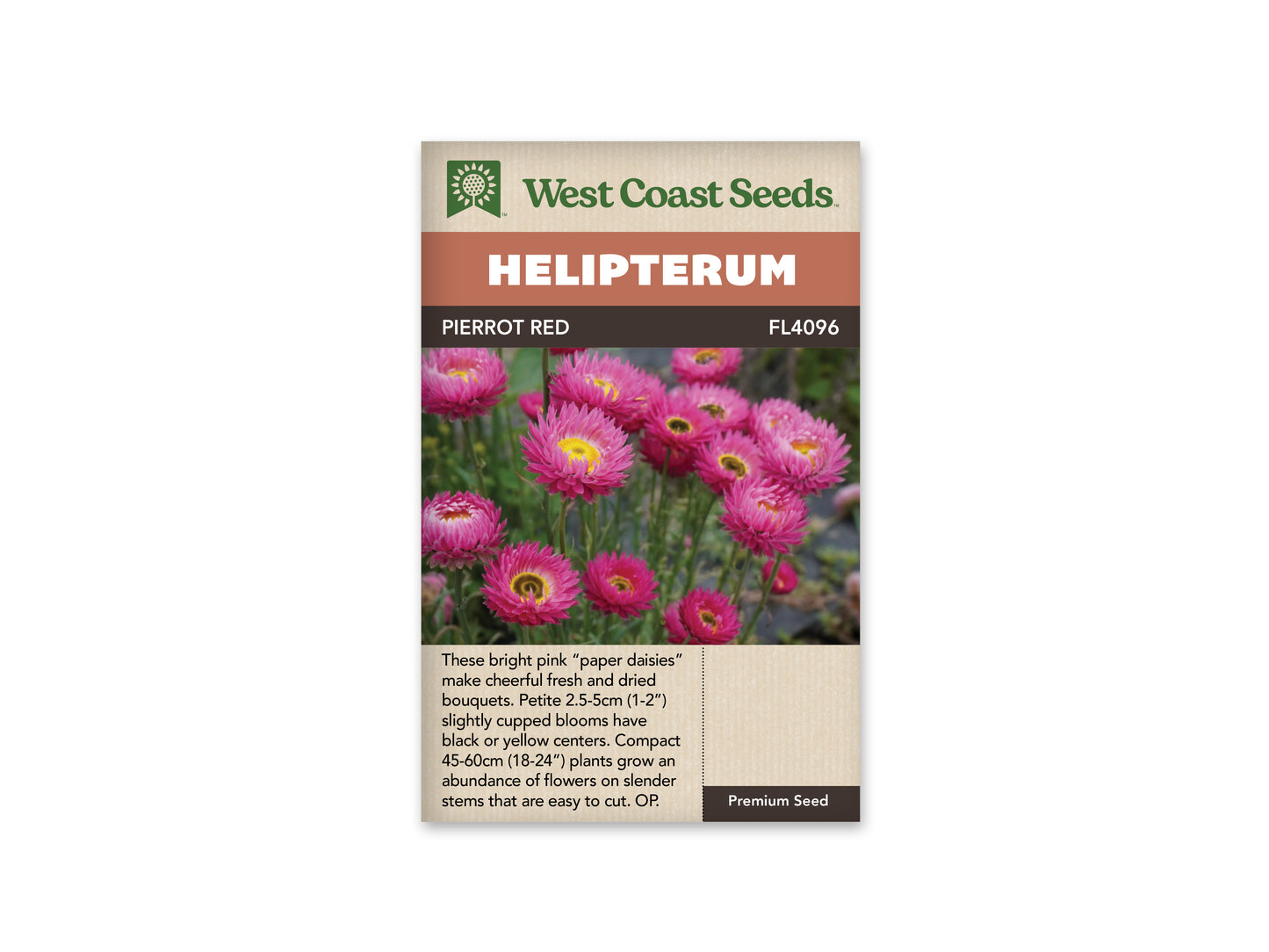 Helipterum Pierrot Red WCS Seeds