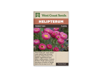 Helipterum Pierrot Red WCS Seeds
