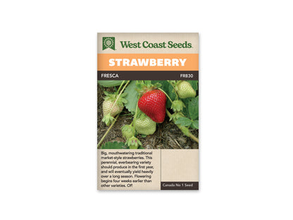 Strawberry Fresca WCS Seeds