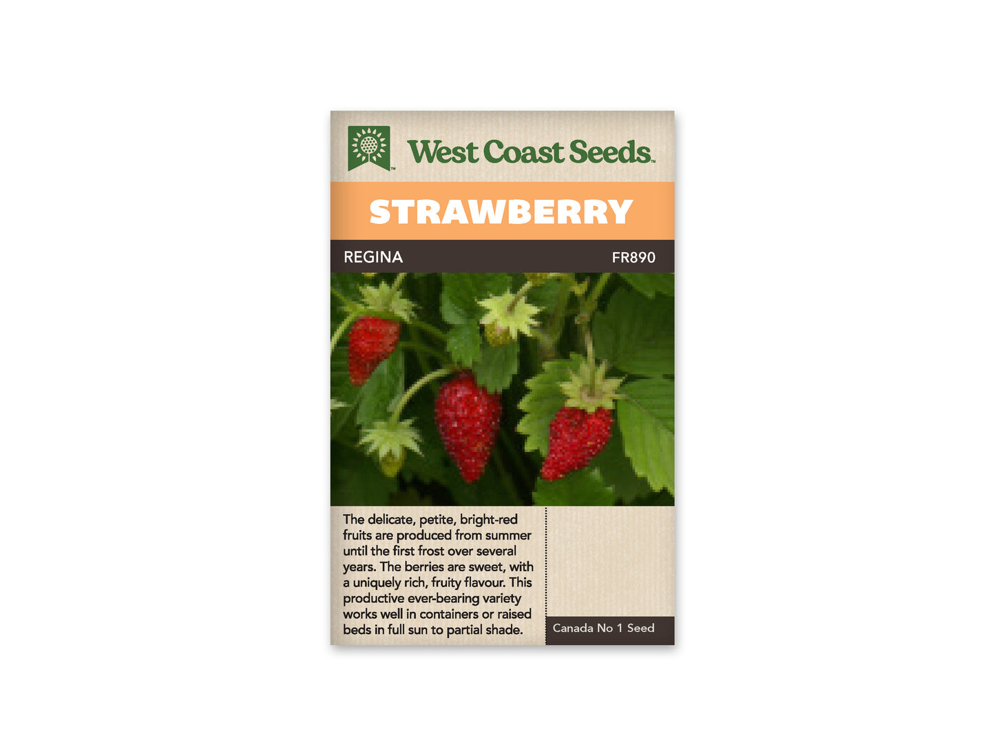 Strawberry Regina WCS Seeds