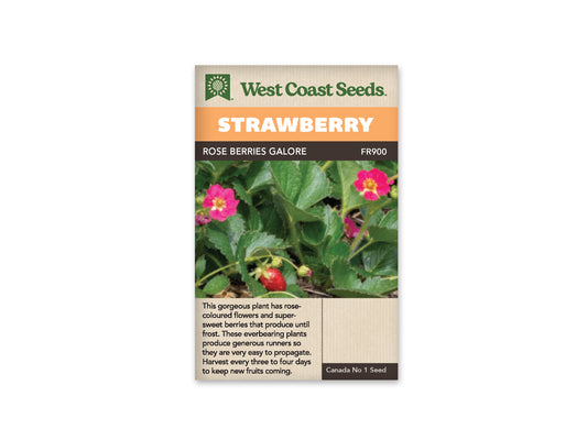 Strawberry Rose Galore WCS Seed