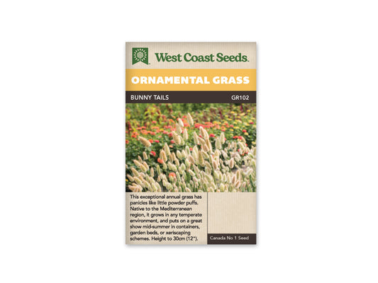 Ornamental Bunny Tails Grass  WCS Seeds