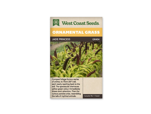 Grass Ornamental Jade Princess WCS Seeds