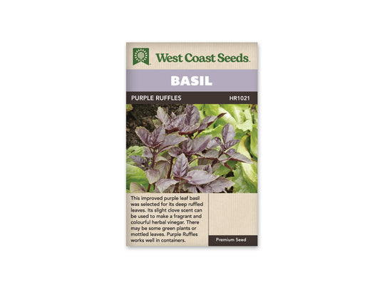 Basil Purple Ruffles WCS Seeds