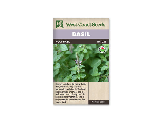 Basil Holy Organic WCS Seeds