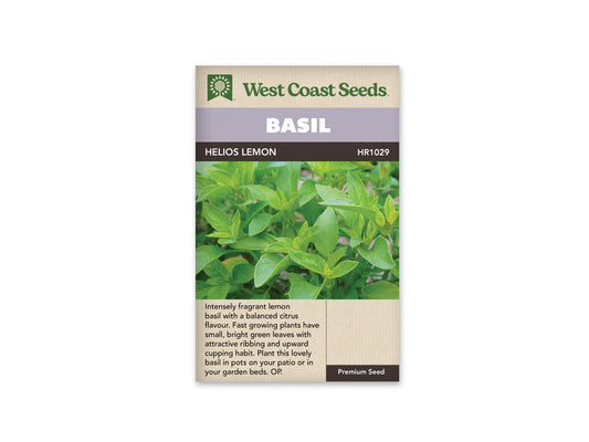 Basil Helios Lemon WCS Seeds