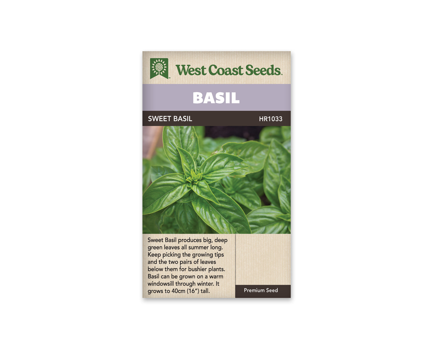 Basil Sweet WCS Seeds