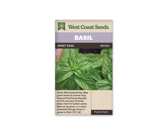 Basil Sweet WCS Seeds