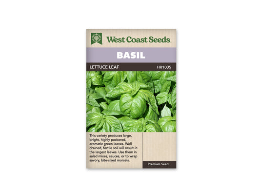 Basil Lettuce Leaf WCS Seeds