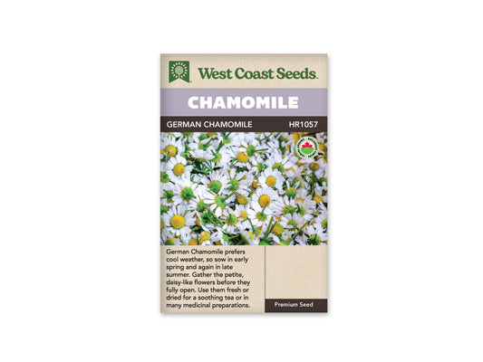 Chamomile German Organic WCS Seeds