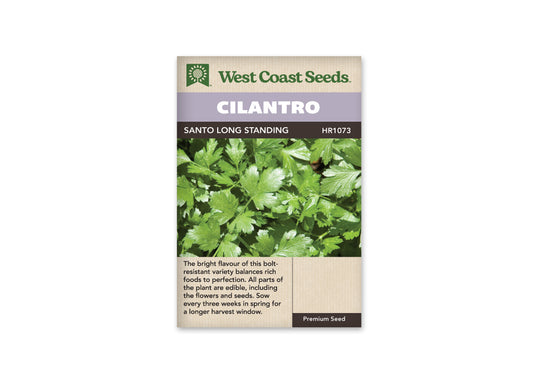 Cilantro Santo Long Standing WCS Seeds