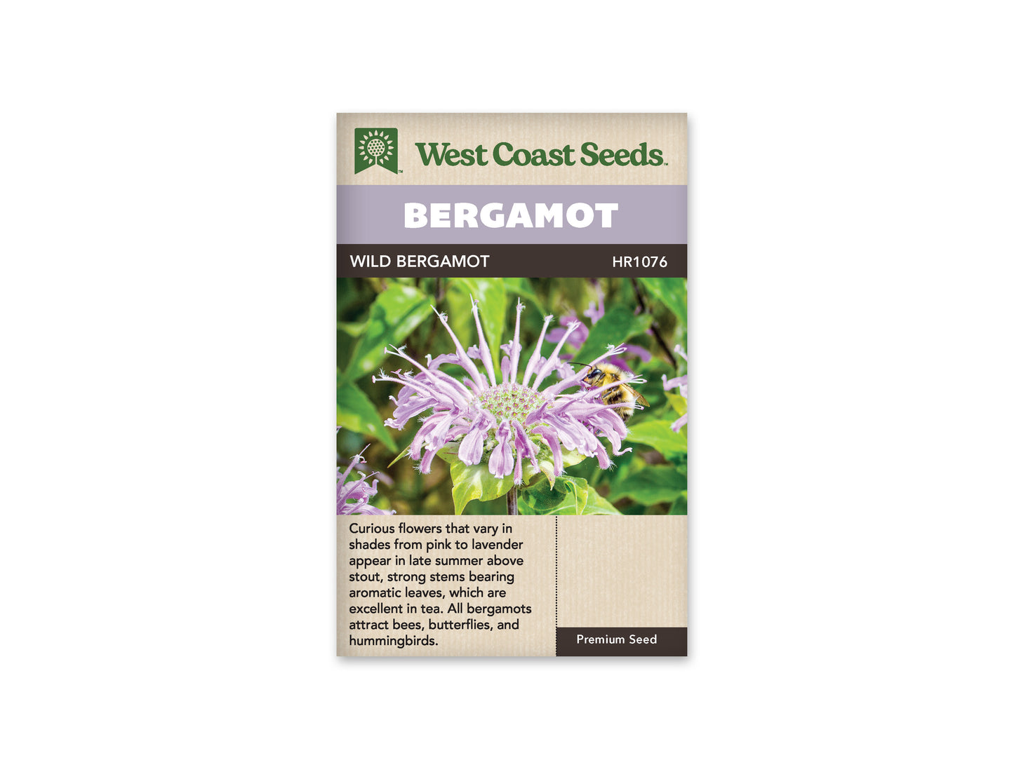 Wild Bergamont WCS Seeds