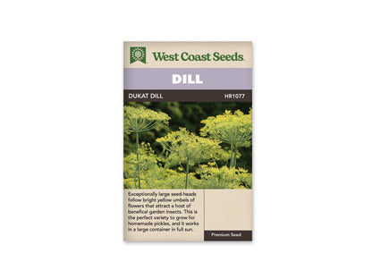 Dill Dukat WCS Seeds