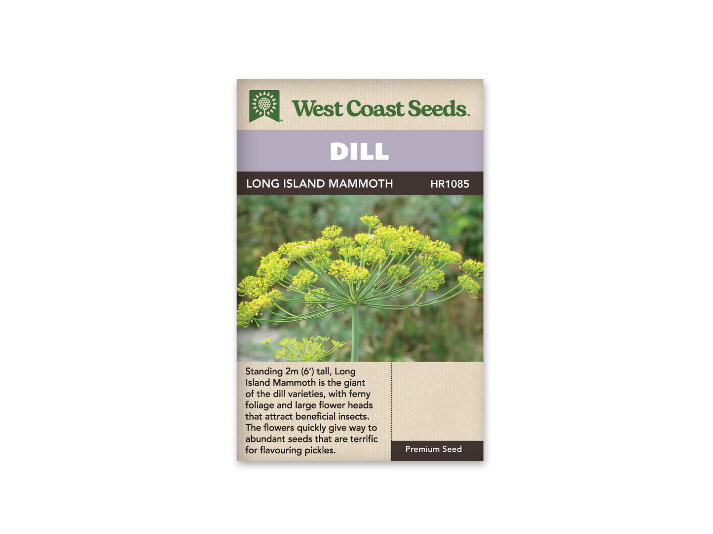 Dill Long Island Mammoth WCS Seeds