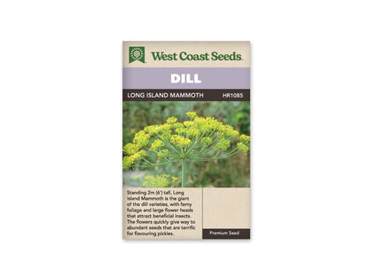 Dill Long Island Mammoth WCS Seeds