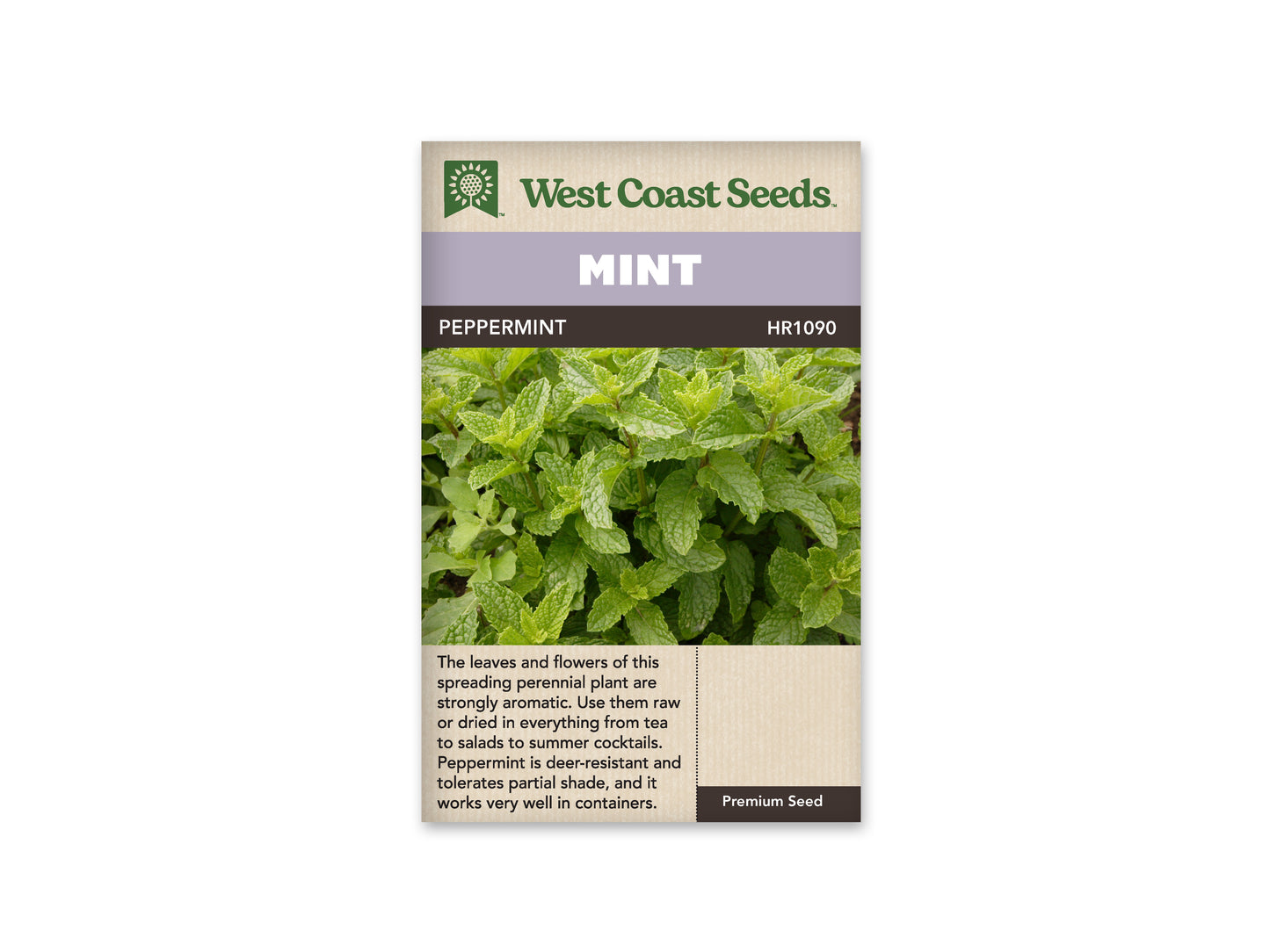 Peppermint WCS Seeds