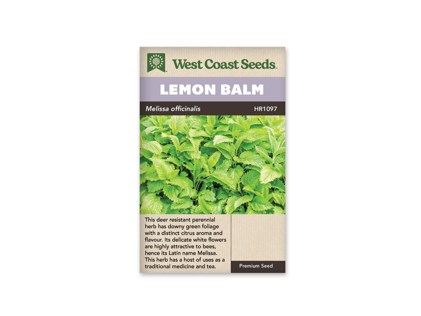 Lemon Balm WCS Seeds