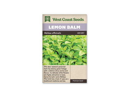 Lemon Balm WCS Seeds
