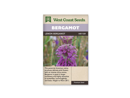 Lavender Dwarf Munstead WCS Seeds