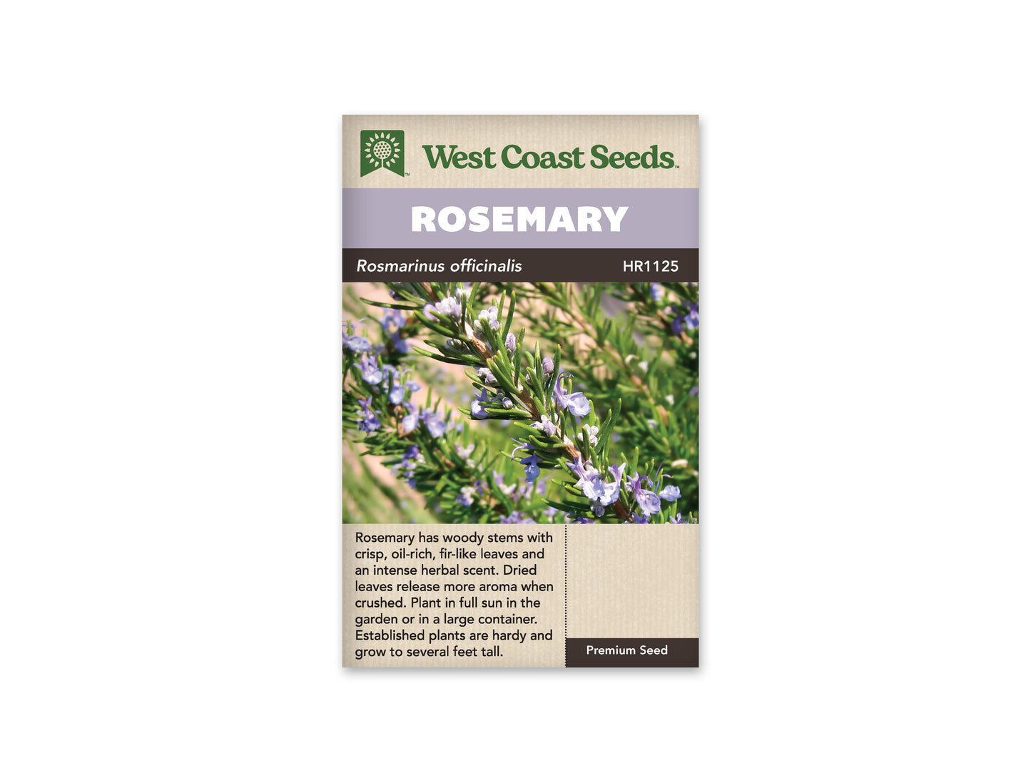 Rosemary WCS Seeds