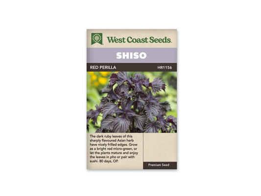 Shiso Red Perilla WCS Seeds