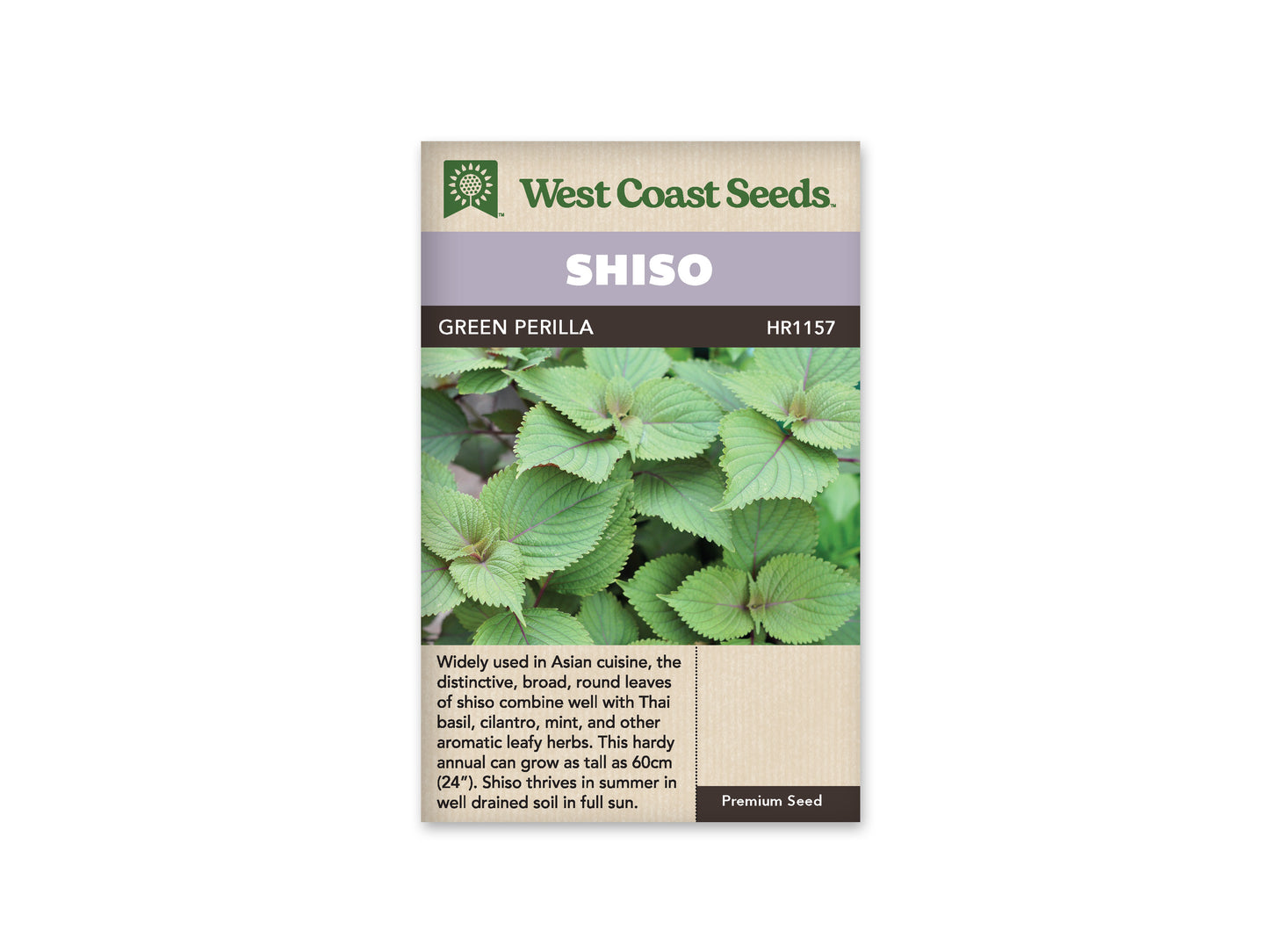 Shiso Green Perilla WCS Seeds