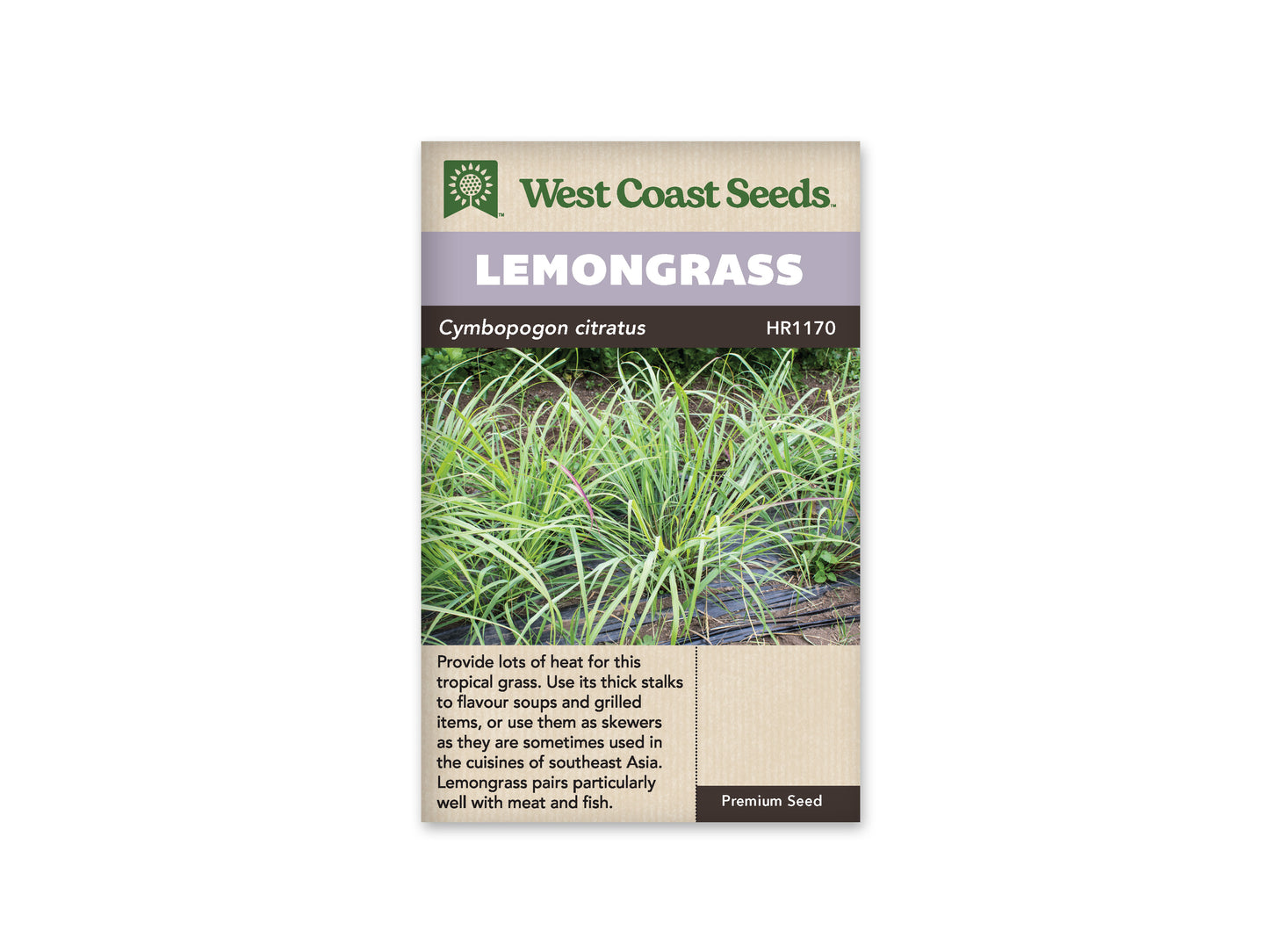 Lemon Grass WCS Seeds