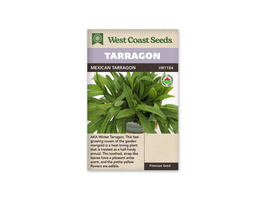 Tarragon Mexican Organic WCS Seeds