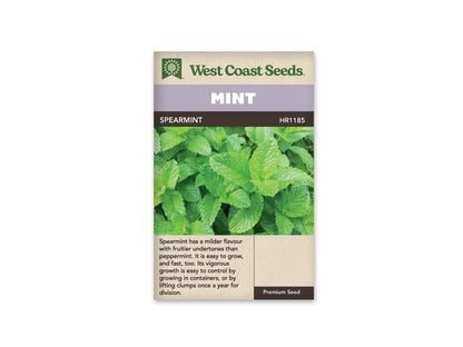 Spearmint WCS Seeds