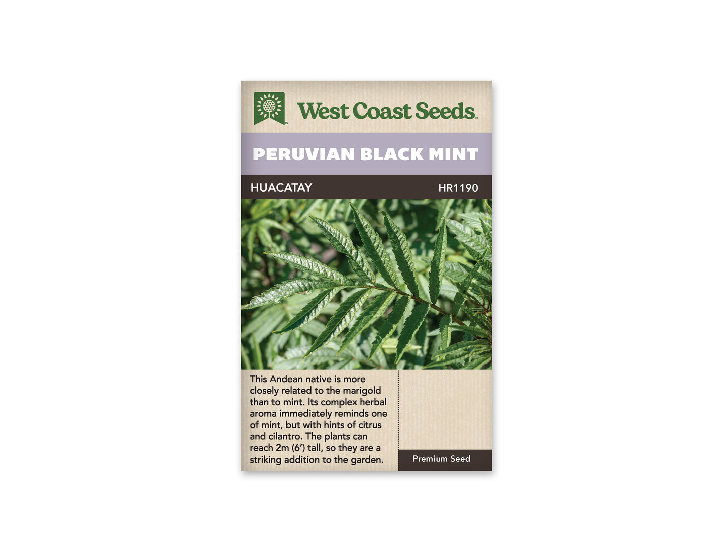 Mint Peruvian Black WCS
