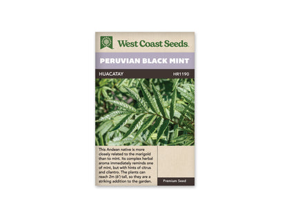 Mint Peruvian Black WCS