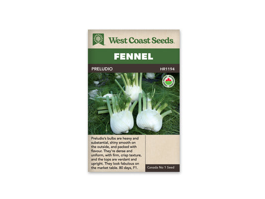Fennel Preludio Organic WCS Seeds