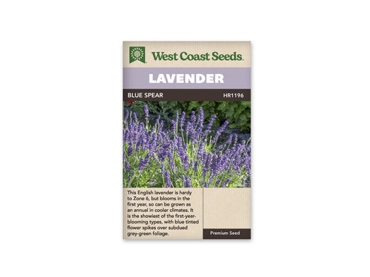 Lavender Blue Spear WCS Seeds