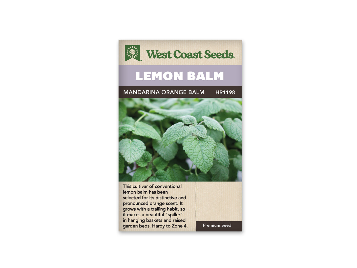 Lemon Balm Mandarina Orange WCS Seeds