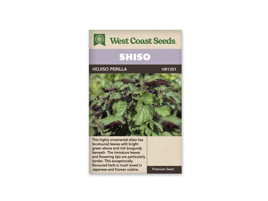 Shiso Hojiso Perilla WCS Seeds