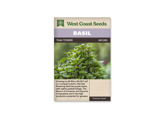 Basil Thai Tower WCS Seeds