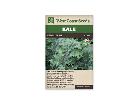 Kale Red Russian Organic WCS Seed