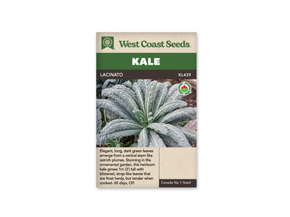 Kale Lacinato Organic WCS Seed