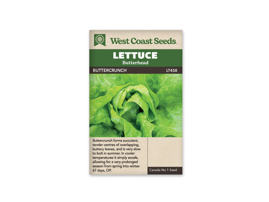 Lettuce Buttercrunch WCS Seed