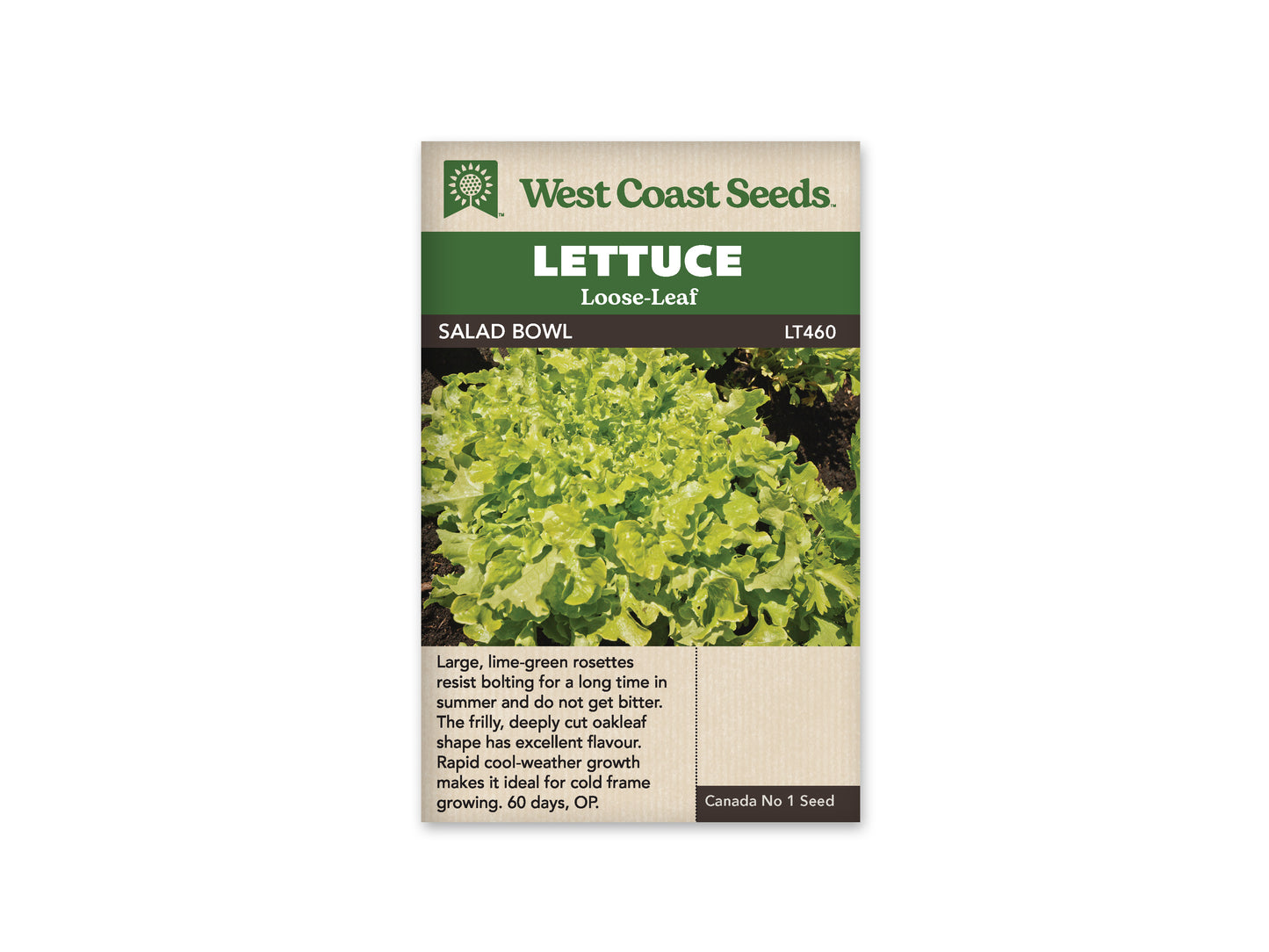 Lettuce Salad Bowl Green WCS Seed